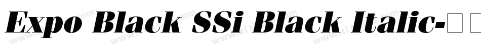 Expo Black SSi Black Italic字体转换